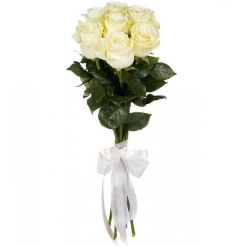 Букет 7 белых роз купить с доставкой по Киндери